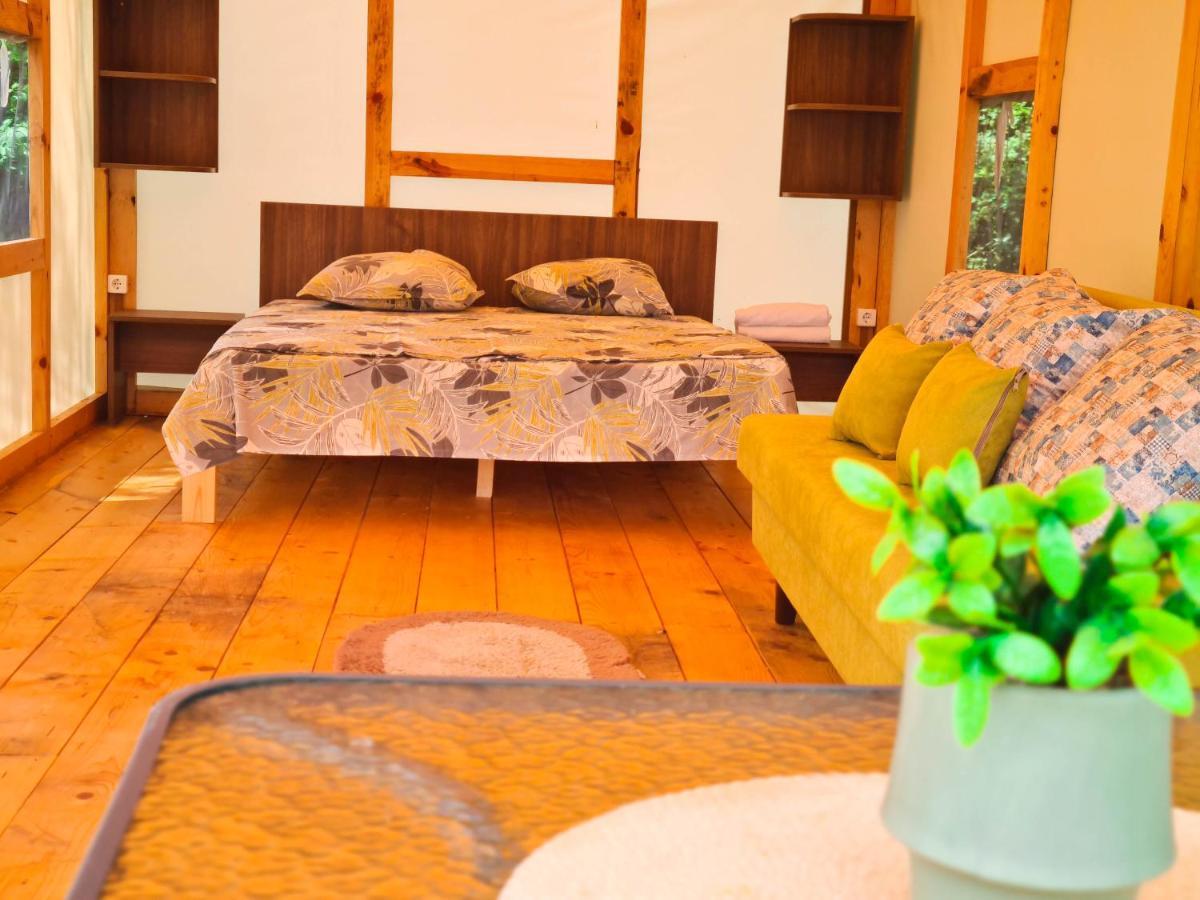 מלון בלצ'יק Divoto Glamping מראה חיצוני תמונה
