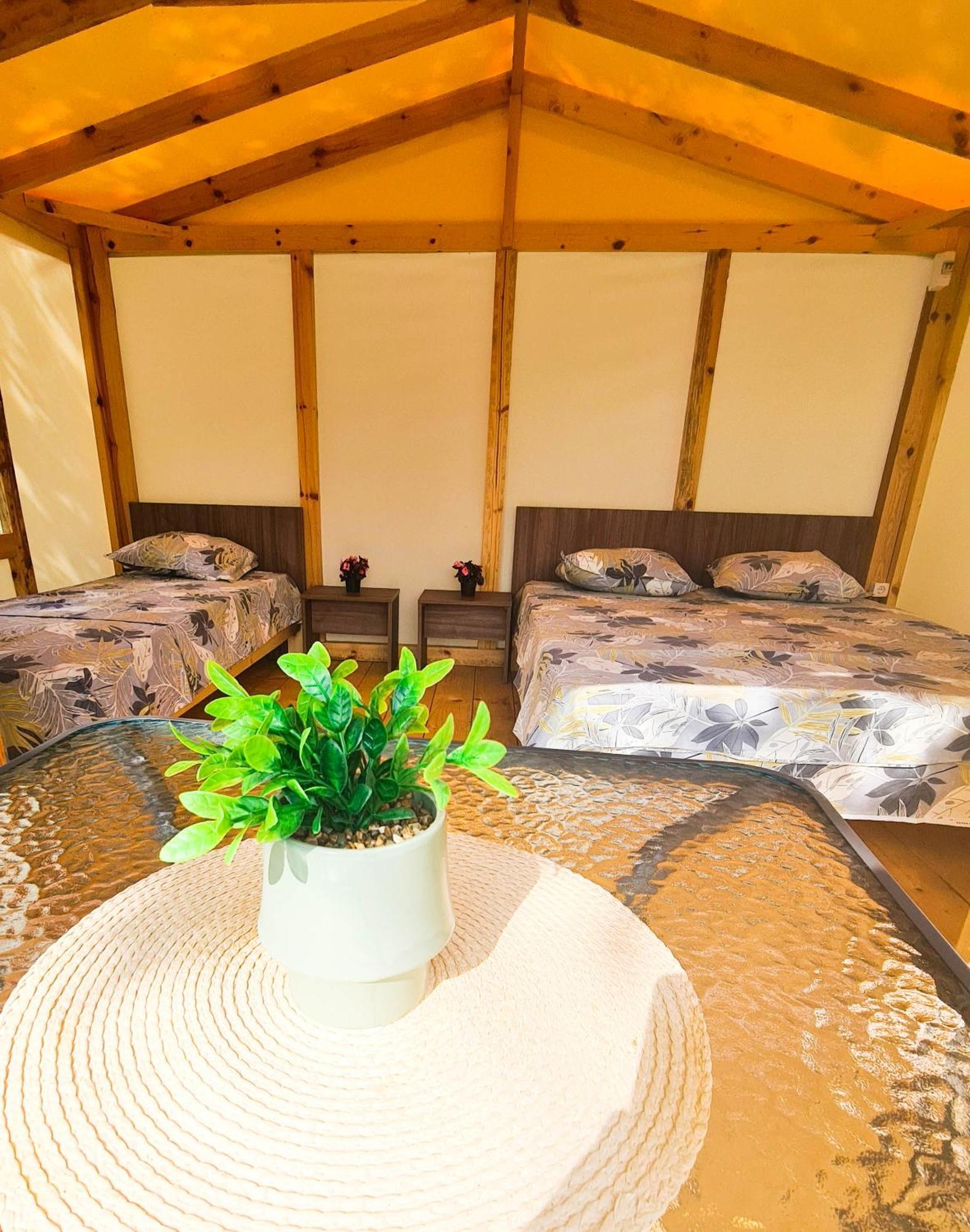 מלון בלצ'יק Divoto Glamping מראה חיצוני תמונה